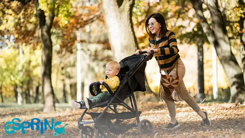 مشخصات کالسکه خوب