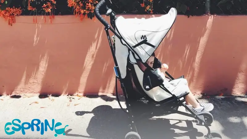 فاکتورهای مهم در نقش انتخاب کالسکه عصایی با تحمل وزن بالا