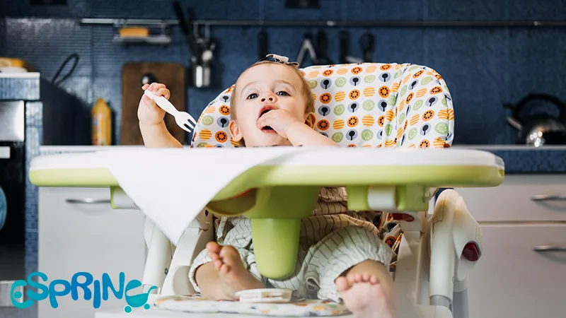 صندلی غذای سیسمونی نوزاد دختر